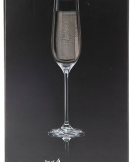 Jenna Clifford champagne glasses- SET OF 4