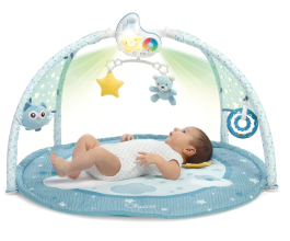 Chicco Enjoy Colours Gym-Blue