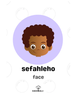 Body Parts - Sesotho|English flash cards