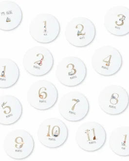 Milestone Cards (Set of 16)