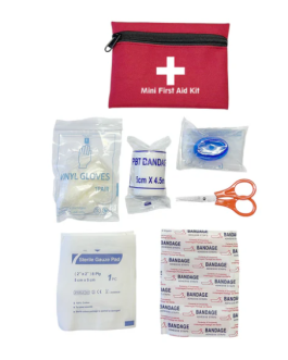 Mini First Aid Kit In Zip Pouch
