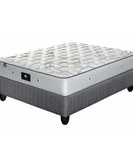 Sealy Queen Bed